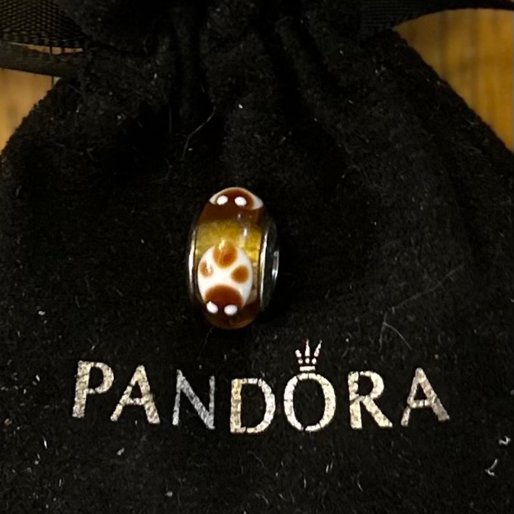 Retired Cinnamon Ladybug Charm 46$